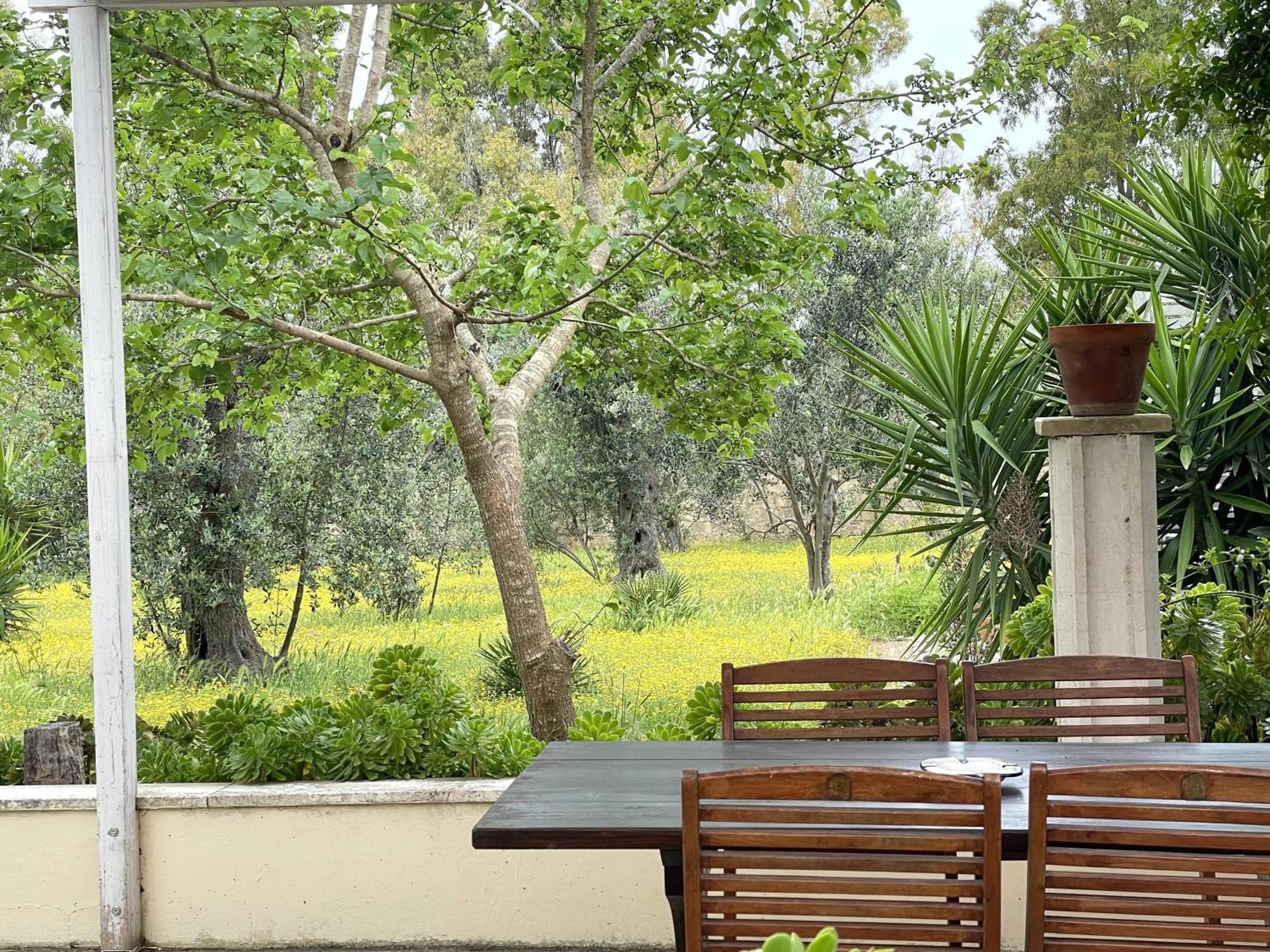 B&B Santa Venardia Gallipoli Exterior foto